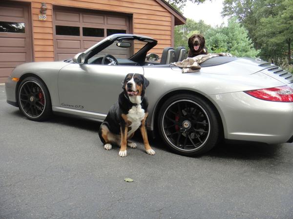 2014 Porche 991 GT3