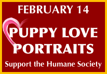 Puppy Love Portraits