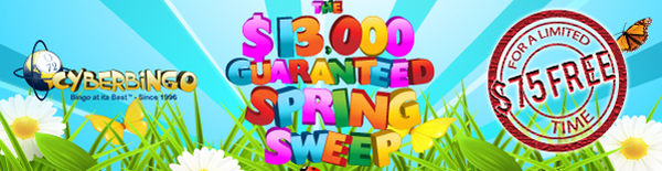 CyberBingo -13000 Spring Sweep