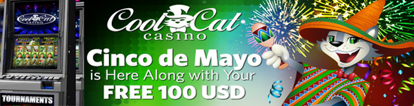 Cool Cat - Cinco Mayo