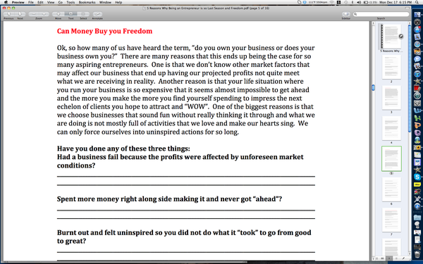 Freedom-preneur E-workbook