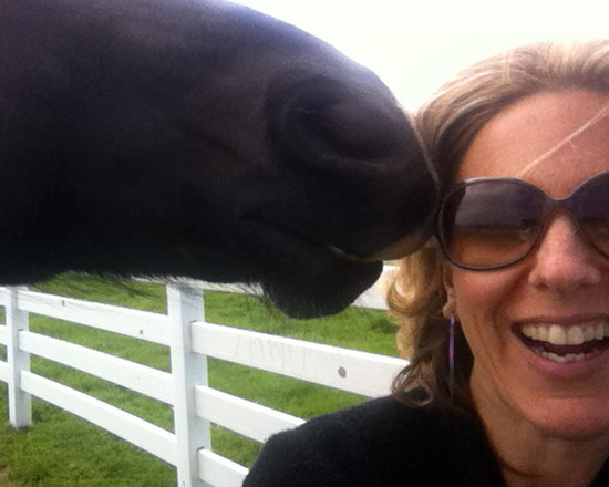 horse eating melissa's glasses