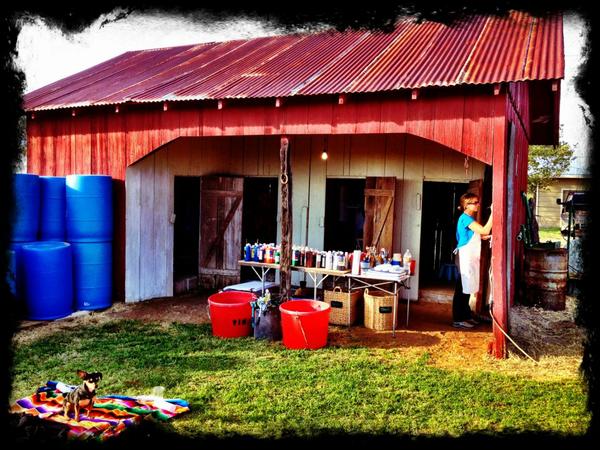 Trio photos of Melissa D'Antoni of Fire Tree Studios