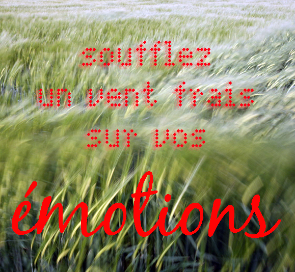 Soufflez le vent frais sur vos émotions