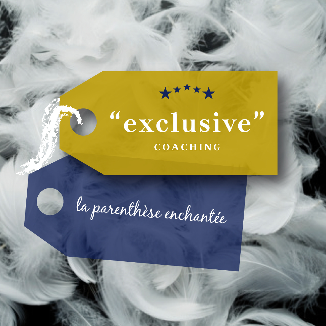 Exclusive coaching, la parenthèse enchantée