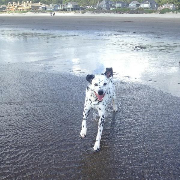 Please enable images from kevin@freeprintable.net