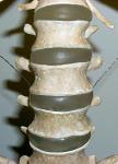To the Blog - Spine pic