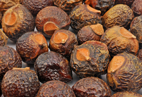 Soapnuts - natural detergent