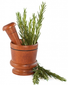 Miraculous Benefits of Rosemary