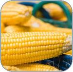 How to Cook Corn on The Cob