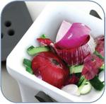 Making Organic Compost from Food Scraps