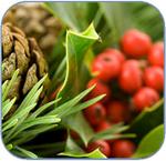 Natural Festive Decorations