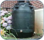 Is It Safe to Drink Water From Rain Barrels?