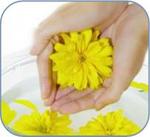 Fragile Nails: Causes and Treatments