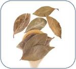 Natural Hair Loss Remedies