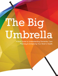 The Big Umbrella