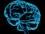 Brain Health