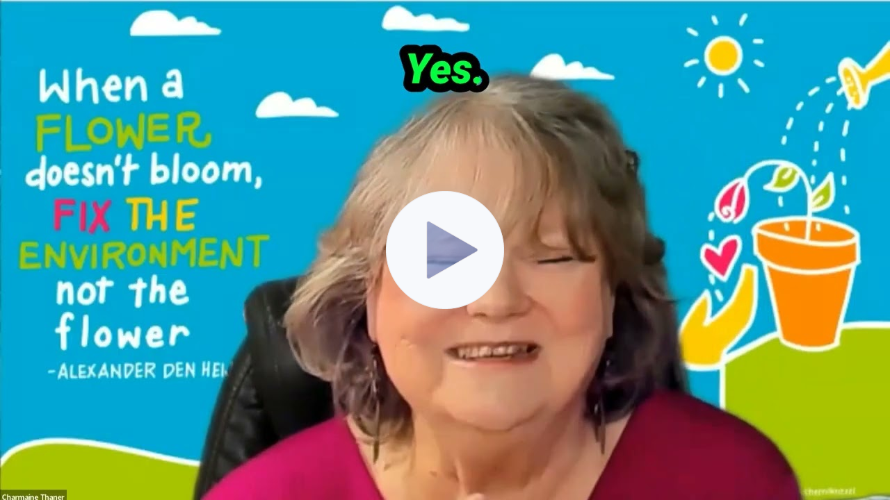 Inclusive IEP Audit Demo This Is ME!