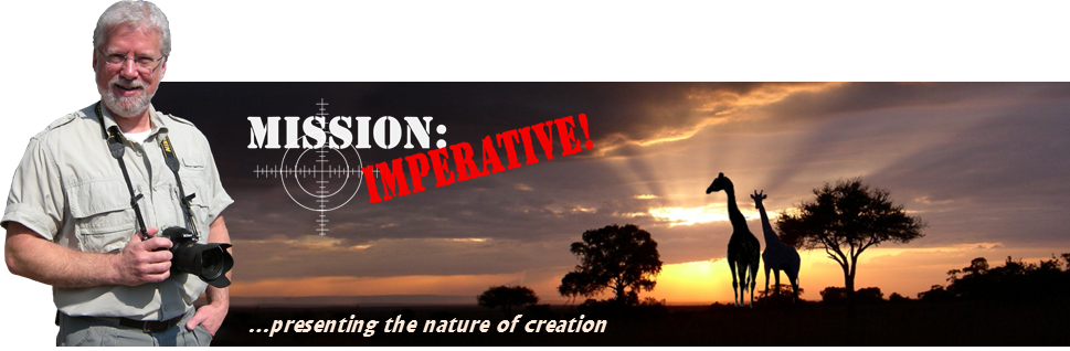 Mission Imperative