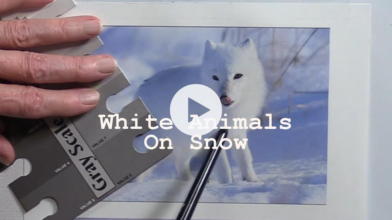 Quick Tip 393 - White Animals on Snow