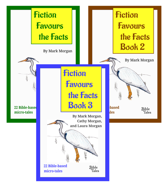 eBook bundle: Fiction Favours the Facts Books 1-3