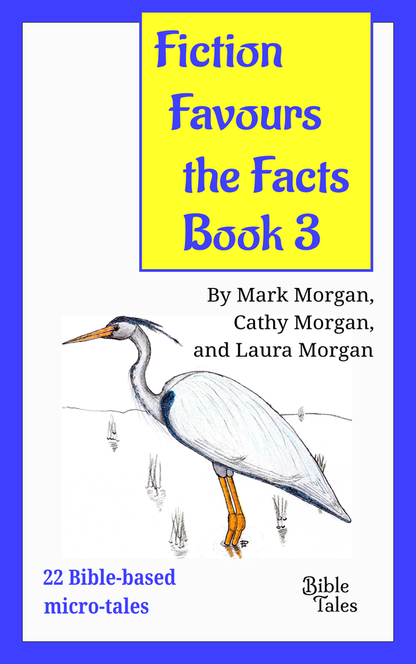 Fiction Favours the Facts – Book 3 eBook cover