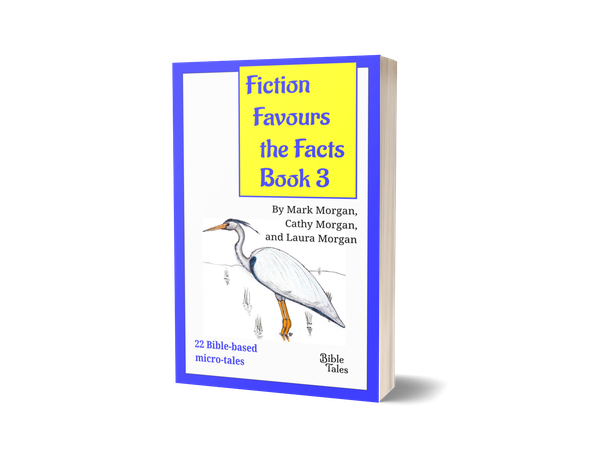 Paperback: Fiction Favours the Facts – Book 3