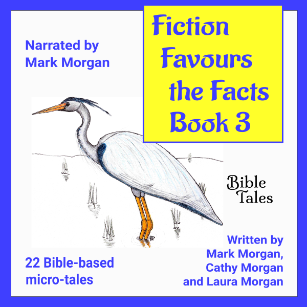 Fiction Favours the Facts – Book 3 audiobook cover