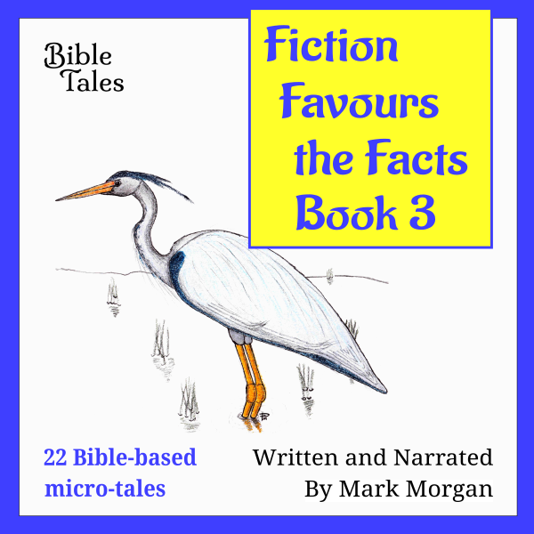 Fiction Favours the Facts, Book 3, audio cover