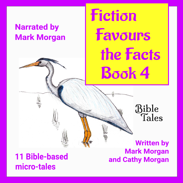 Fiction Favours the Facts Book 4 audio cover