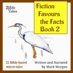 Fiction Favours the Facts – Book 2 Audio cover