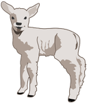 "young lamb" by molumen (formerly from https://openclipart.org/detail/1911/young-lamb)