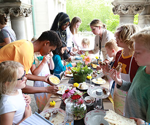 American Swedish Institute Camps