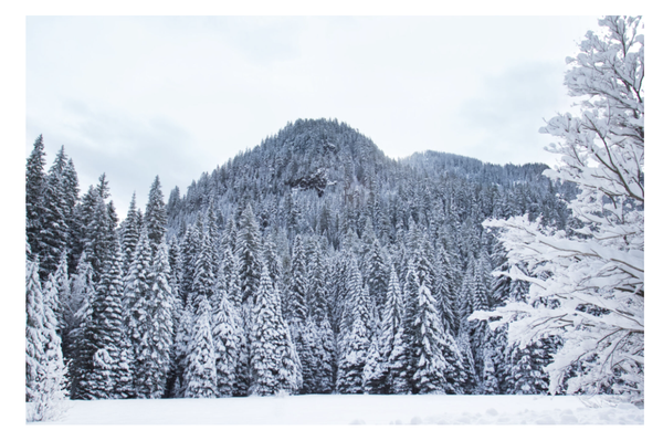 The Courage To Pause