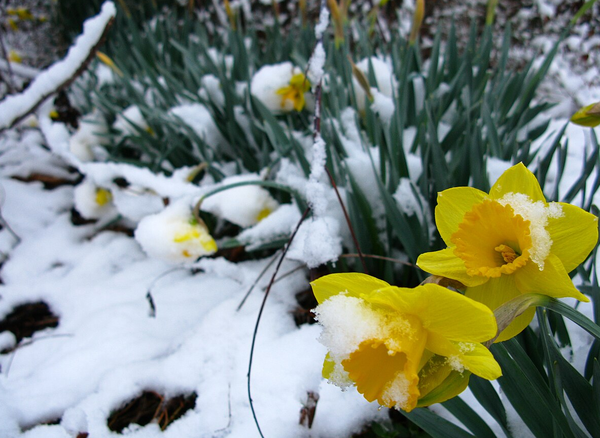 Are You Ready To Shake Off The Chill?