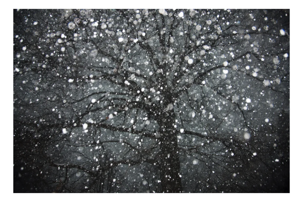 What Are You Putting Off?