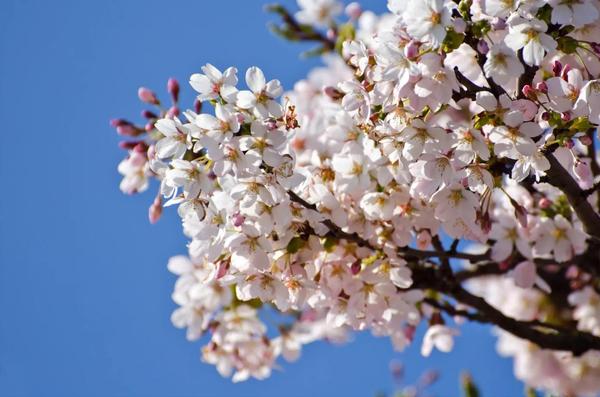 Is It Time To Rejuvenate?
