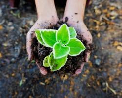 Are You Ready For Renewal?