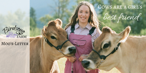 Cows are a girl's best friend (Isabella & Fancier)