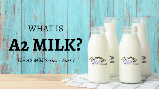 What is A2 milk?