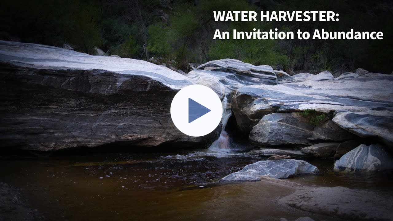 Water Harvester: An Invitation to Abundance