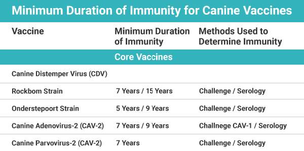 Vaccine immunity lasts for most of a pet's lifetime with a minimum protection of 5-7 years