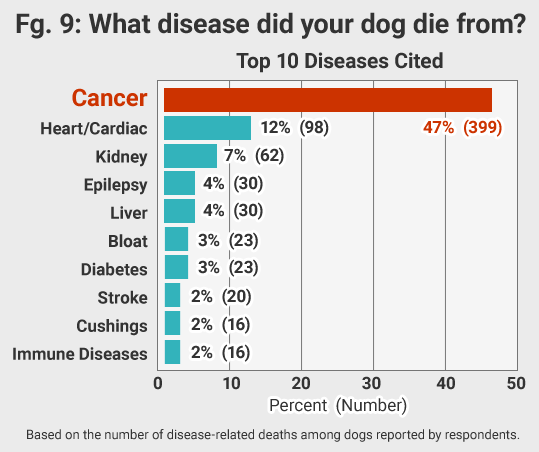 47% of reported dog deaths were from cancer