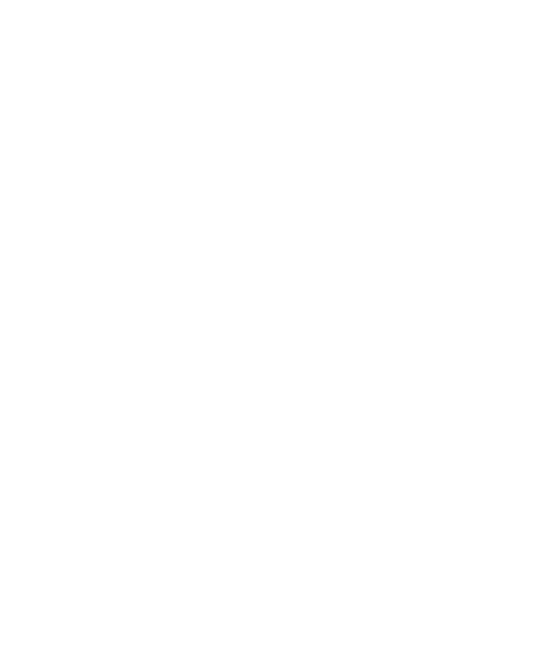 Tech With Heart Foundation Logo