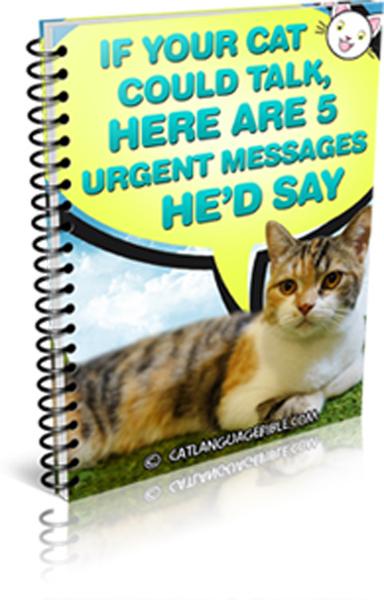 Cat Language Bible Free PDF.jpg