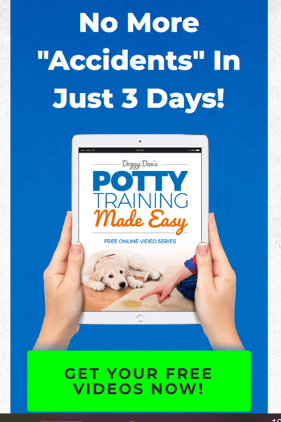Potty Training Made Easy No Accidents Banner.png