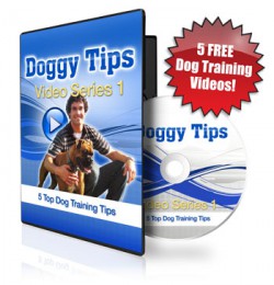 5-Free-Doggy-Tips-Videos-Flash-350-e1452717638816.jpg