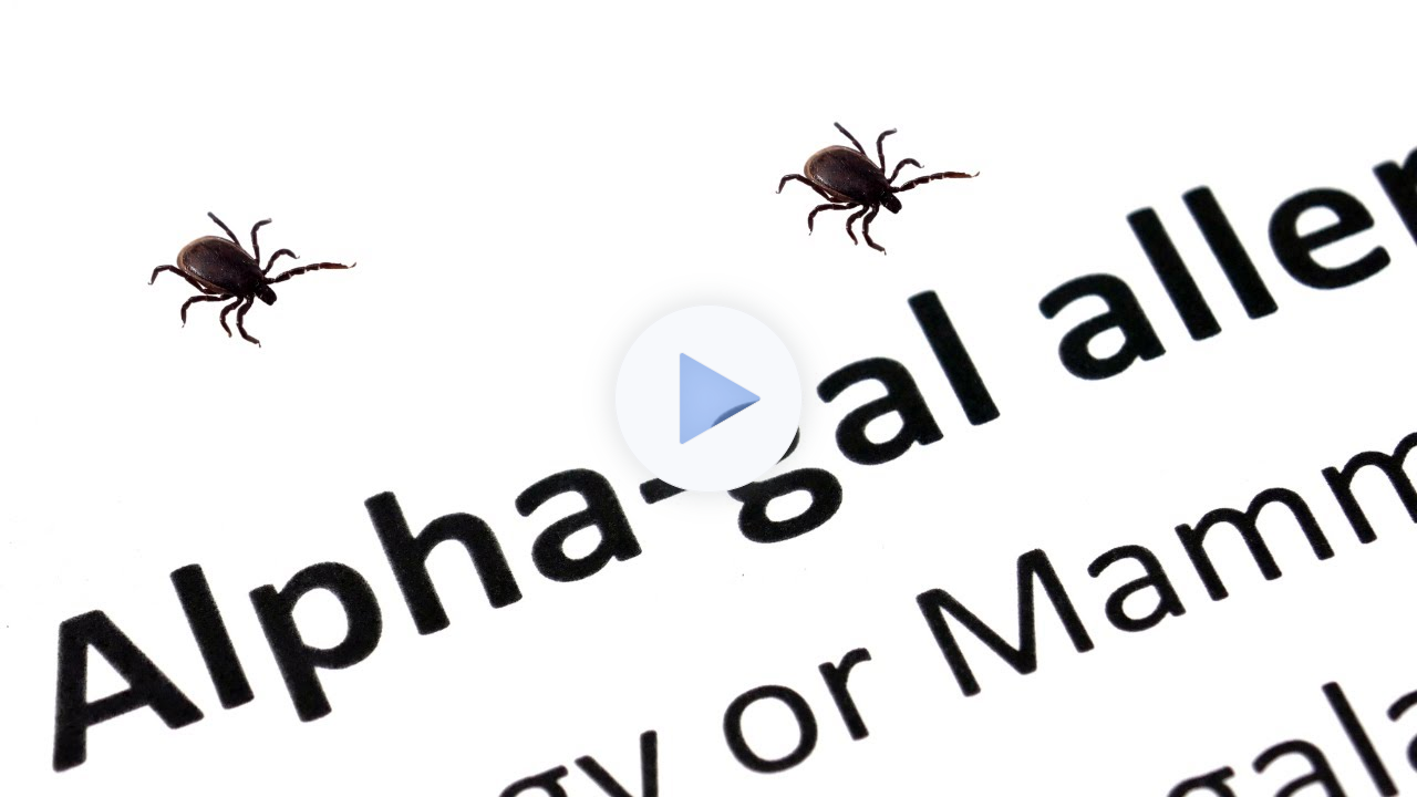 Alpha-Gal - What is it?