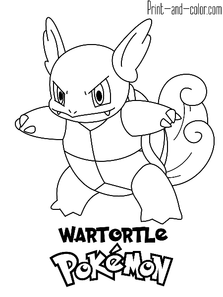 Wartortle