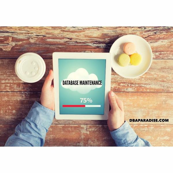 Database Maintenance. Reorganize Tables. Rebuild Indexes.